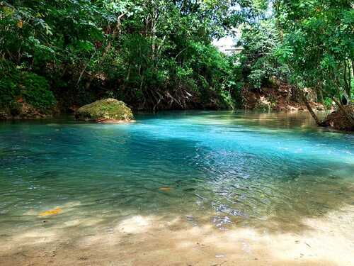 Montego Bay Dunn's River Falls Excursion with Cocktails and Lunch at Reggae Hill 