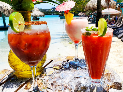 Roatan Sloth Farm and Little French Key Island Beach Excursion with Round-Trip Transport