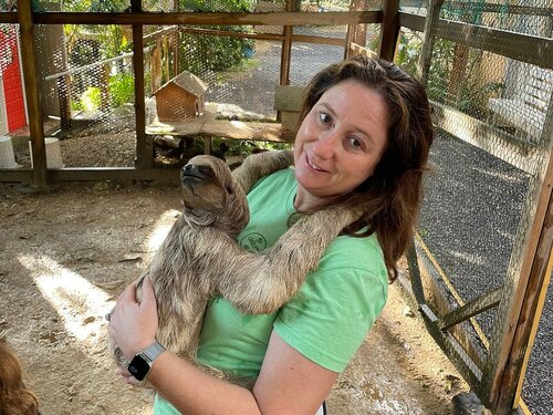 Roatan Sloth Farm and Little French Key Island Beach Excursion with Round-Trip Transport